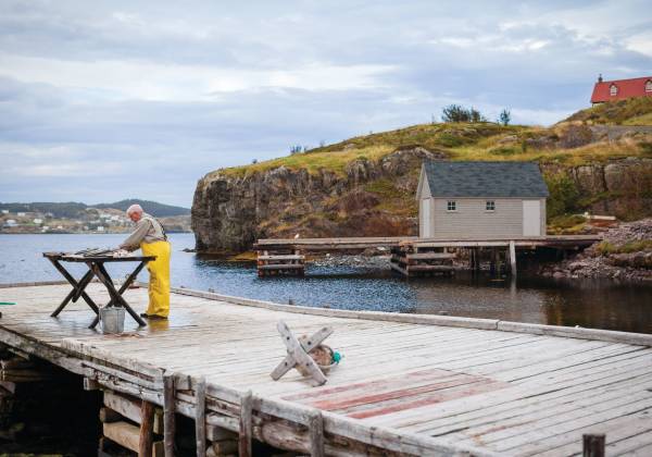 a wooden pier next to a body of water