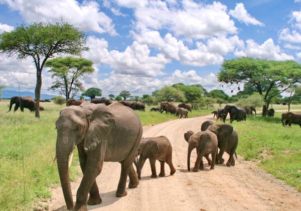 Tanzania