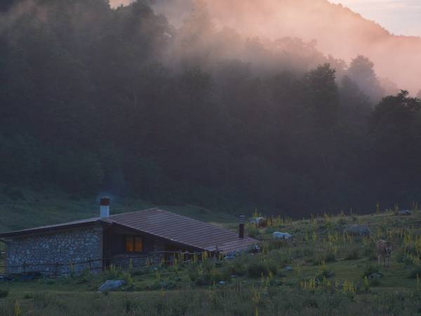 Italian Apennines: Walks & Wildlife