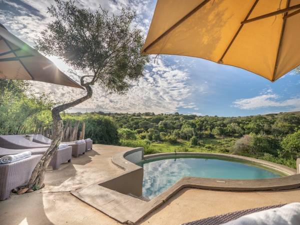 Amakhala Safari Lodge, Amakhala Game Reserve