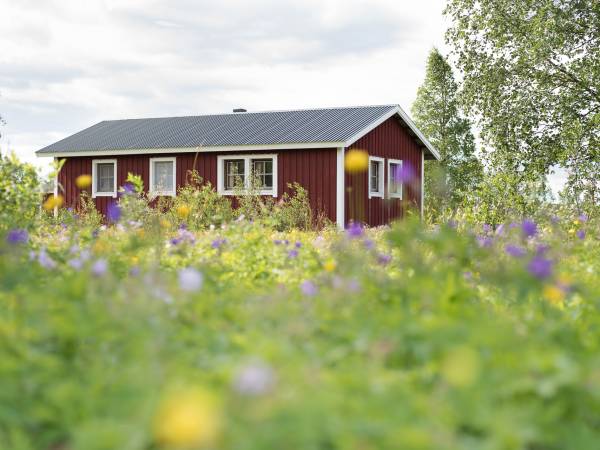 North Sweden: Active Summer Adventure