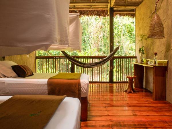 Premium Amazon Rainforest Extension (from Cuzco)