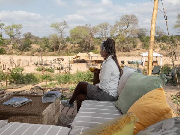 Kruger Safari Highlights – Premium Adventure