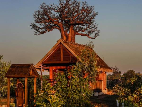 Madagascar Wildlife Adventure