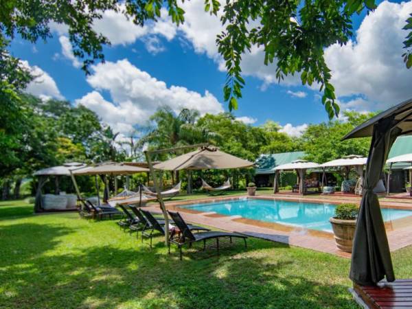 Essential Kruger Safari