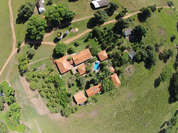 Brazil Wildlife Adventure