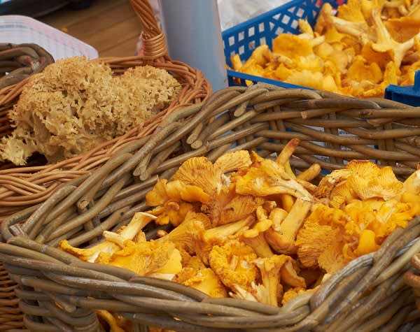 Fresh chanterelles for sale