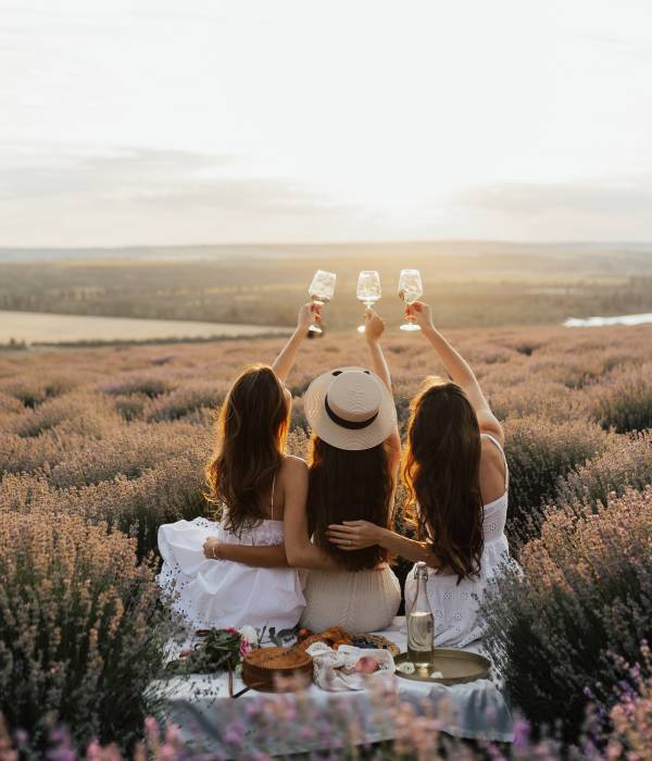 Elevated Journeys by Europe Express