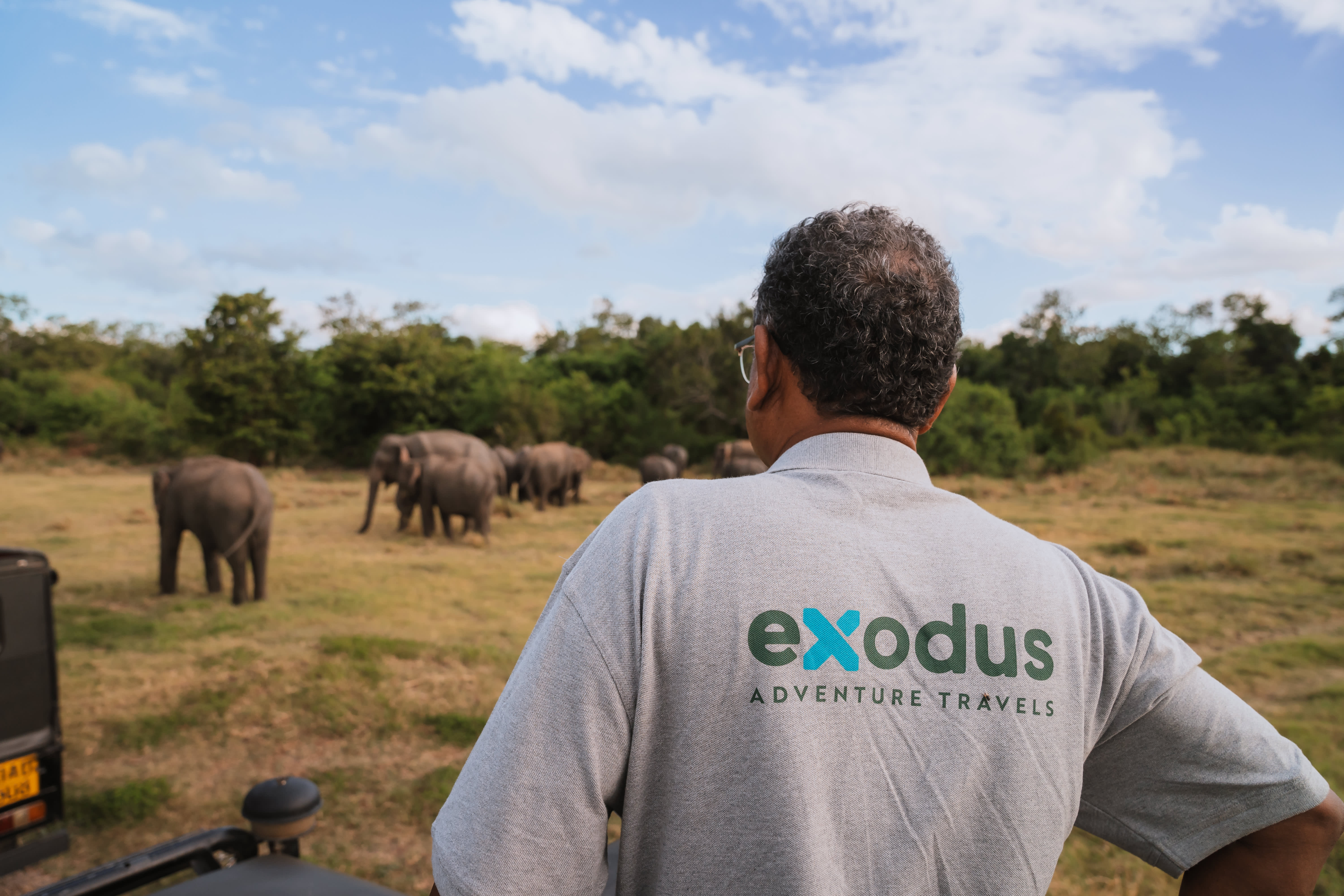 Island Insider: The Best Way to Explore Sri Lanka? Here Are Your Top 3 Options 