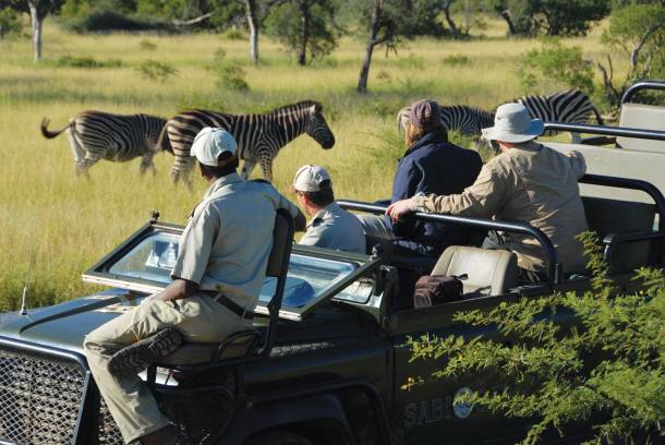 safari in Africa