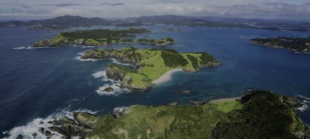 New Zealand Hero LCT Blog