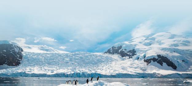 antarctica