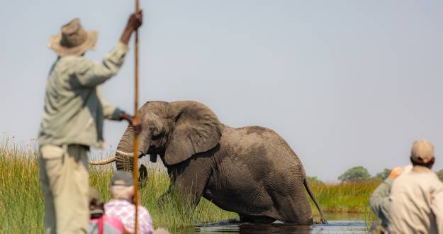 Okavango Delta Mokoro Canoe