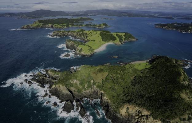 New Zealand Hero LCT Blog