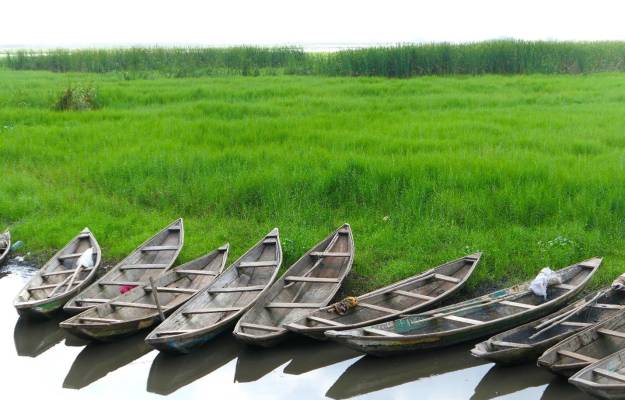 Canoes along the bank of Ganvie, Benin