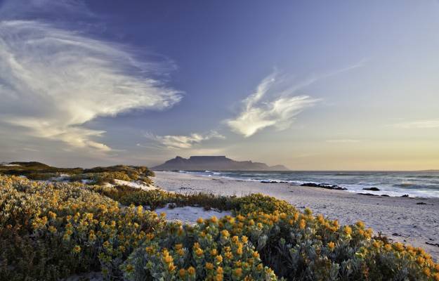 Table Mountain