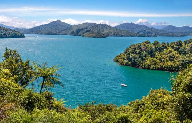 Queen Charlotte Sound, New Zealand