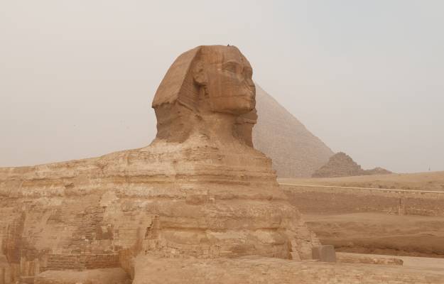 sphinx
