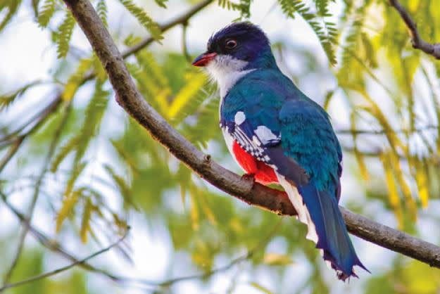 Ciénaga de Zapata National Park