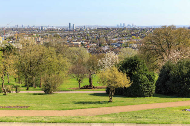 Ally Pally Parkrun