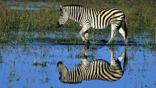 Lake Mburo National Park