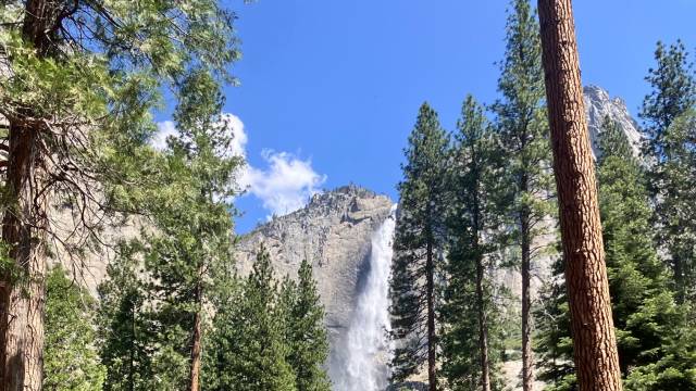 California and National Parks