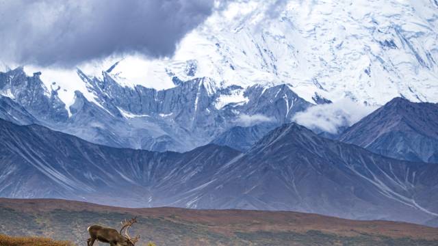 Alaskan Discovery Tour