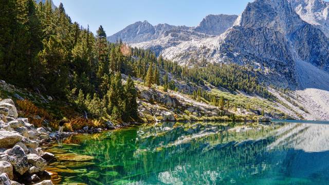 California and National Parks