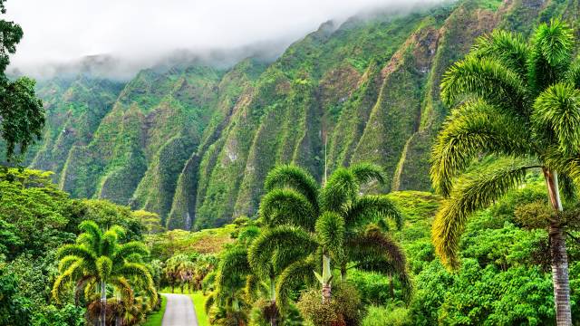 Best of Hawaii Four Island Tour