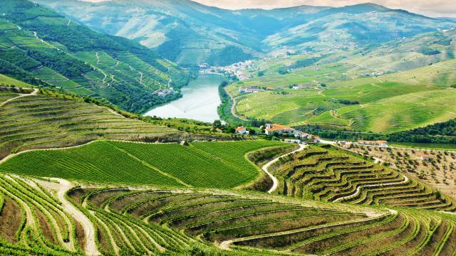 The-Douro-Valley-Portugal