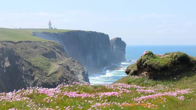 Best of Ireland Tour