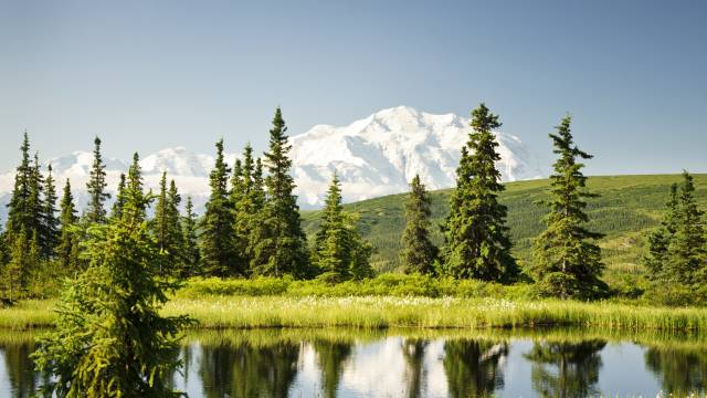 Alaskan Discovery Tour
