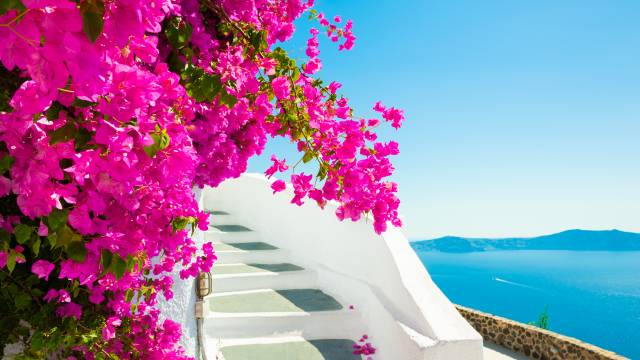 Ultimate Greece & Italy
