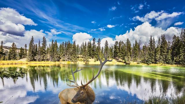 Canadian Rockies Tour