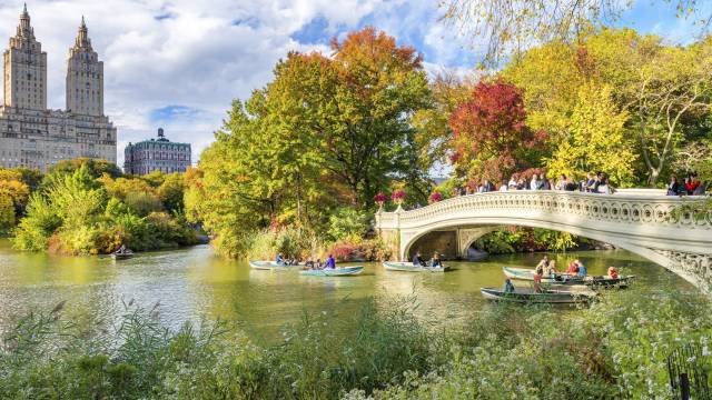 New York Central Park