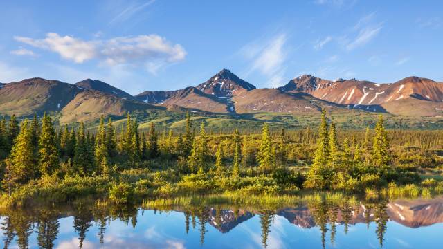 Majestic Alaska Cruise & Tour