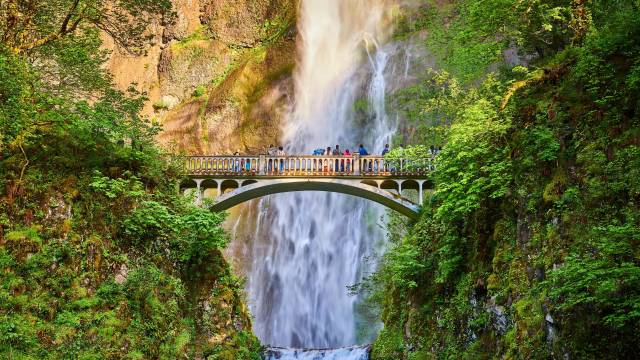 Sights of The Pacific Northwest