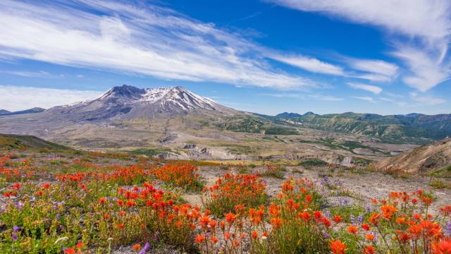 Sights of The Pacific Northwest