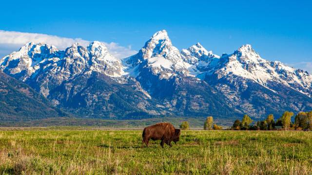 Rocky Mountains & Black Hills National Parks Tour