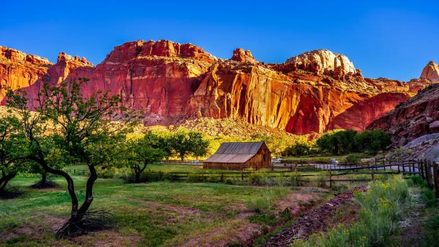 Rocky Mountains & Black Hills National Parks Tour