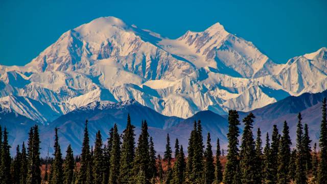 Majestic Alaska Cruise & Tour