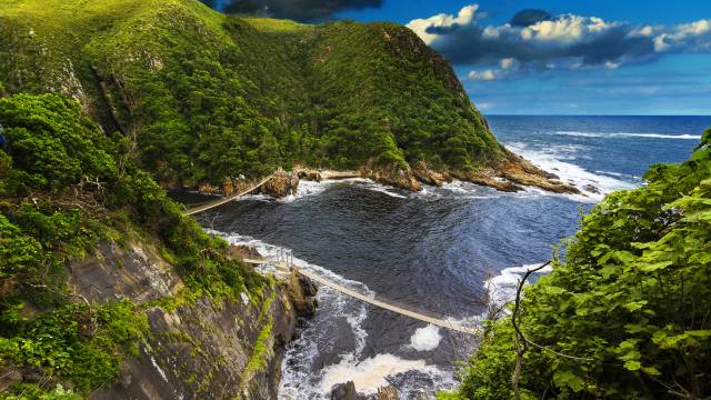 South Africa Safari Tour