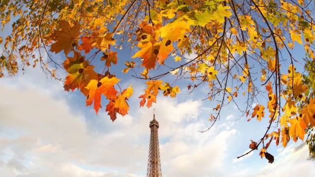 Eiffel-Tower-autumn-leaves-Paris-France