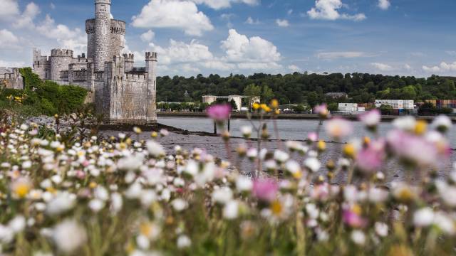 Ultimate Scotland & Ireland Tour