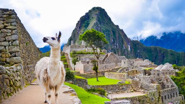 Highlights of Peru