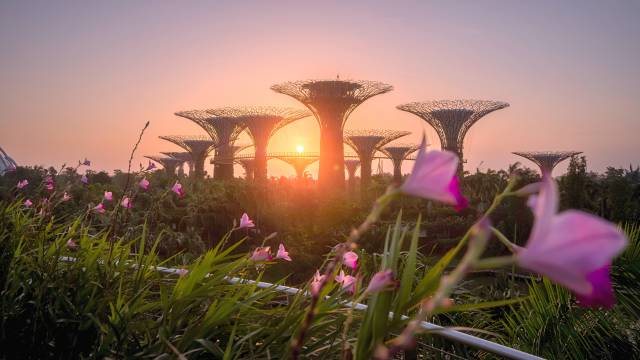 Singapore & Southeast Asia Cruise and Tour