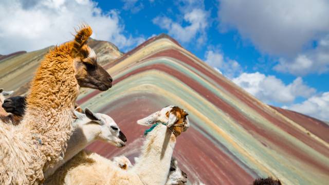 Highlights of Peru
