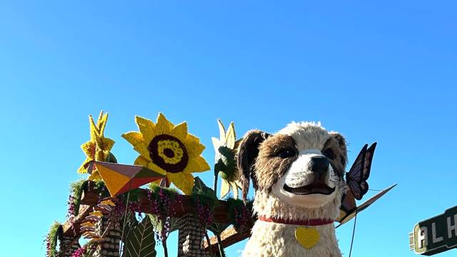 Rose Parade & Coastal California Tour – December 2025 Departure