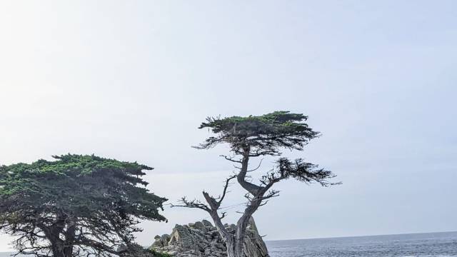 Rose Parade & Coastal California Tour – December 2025 Departure