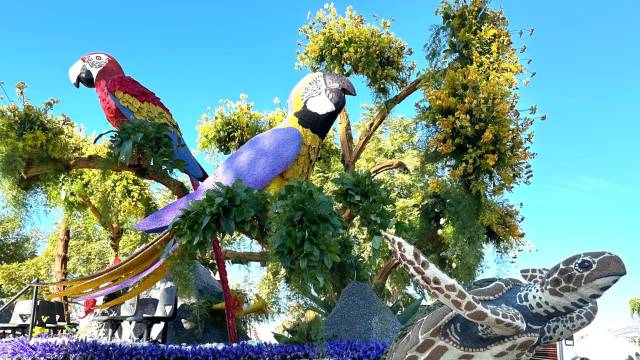 Rose Parade & Coastal California Tour – December 2025 Departure